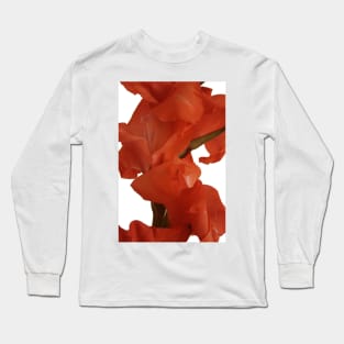 Red Gladioli Closeup Long Sleeve T-Shirt